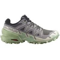 Salomon Speedcross 6 Damen castle rock/vanilla ice/smoke green 40