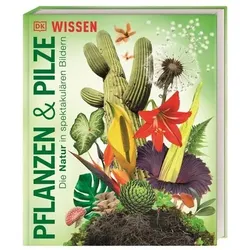 DORLING KINDERSLEY 467/04913 DK Wissen. Pflanzen und Pilze