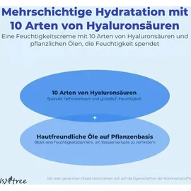 Isntree Hyaluronic Acid Moist Cream 100 ml