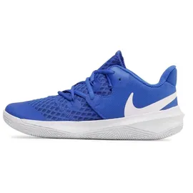 Nike Zoom Hyperspeed Court CI2964-410; Men's Volleyball Shoes; CI2964-410_44,5; Blue; 44,5