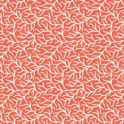 Clairefontaine Geschenkpapierrolle Excellia 80g, 50x0,70m, Koralle - Koralle 202089C
