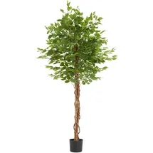 Tectake tectake® Künstlicher Ficusbaum verschiedene Größen, mit viel Volumen, stabiler Kunststoff-Blumentopf
