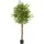 Tectake tectake® Künstlicher Ficusbaum verschiedene Größen, mit viel Volumen, stabiler Kunststoff-Blumentopf