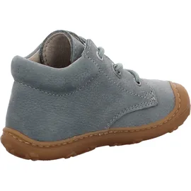Pepino Cory Blau 21