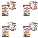 Royal Canin FCN Hair & Skin Loaf 12x85g