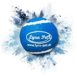 1 Stk. Lyra Pet® Tennis Ball