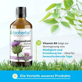 Bioherba Bio Mariendistel Tropfen 50 ml