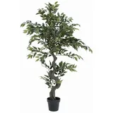 Europalms Ficus Waldbaum, 110cm