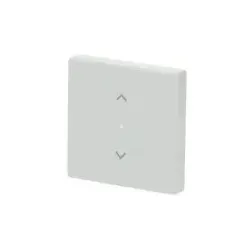Busch-Jaeger 6232-10-84 Wippe 1-fach, mit Symbol ”Jalousie” 2CKA006220A0040 62321084