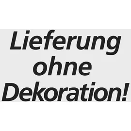 Rottner Security GmbH Wandhalter 70 - 120 l mit vzkt. Stahldeckel