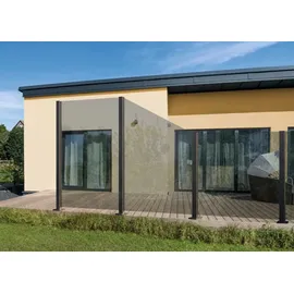 BM Massivholz Zaun Hauptelement Vidrio 120 x 180 cm Grau/Glas