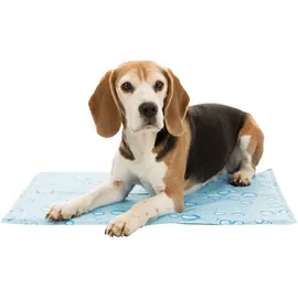 Trixie Kühlmatte XL: 90 x 50 cm hellblau