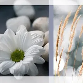 Sigel 10 SIGEL Trauerkarten Margerite DIN lang