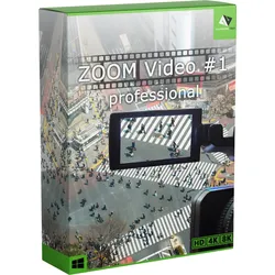 ZOOM Video #1 professional