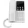 Grandstream GHP620W