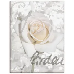 Wandbild ARTLAND "In Lettern - Rose", weiß (farbe bild(er): weiß), B:60cm H:80cm, Bilder, als Alubild, Outdoorbild, Leinwandbild, Poster in verschied. Größen