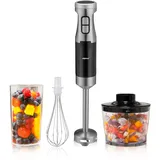 Alpina Stabmixer 1000 Watt, Rostfreier Edelstahl, Schwarz-Silber