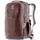 Deuter Cotogy ashrose ink