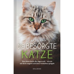 Die besorgte Katze