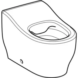 Geberit Bambini Stand WC für Kleinkinder, Tiefspüler, Rimfree, Höhe:24cm, 502965001 Farbe: weiß
