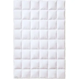 Kauffmann Bavaria medium /