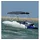 vidaXL Bimini-Top 4-Bow 243x(200-213)x137 cm blau