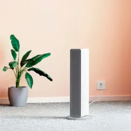 smartmi ZNNFJ07ZM 2000 W Weiß