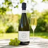 Sektgut Christmann & Kauffmann  Christmann & Kauffmann Cuvée No. 204 Brut Nature Chardonnay,Spätburgunder,Weissburgunder Deutschland