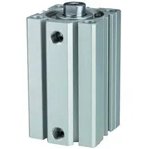 Riegler Kurzhubzylinder »ACQ« doppeltwirkend, Kolben- Ø100, Hub 60, G 3/8