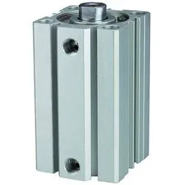 Riegler Kurzhubzylinder »ACQ« doppeltwirkend, Kolben- Ø100, Hub 60, G 3/8