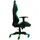 Hyrican Striker Copilot Gaming-Stuhl grün schwarz