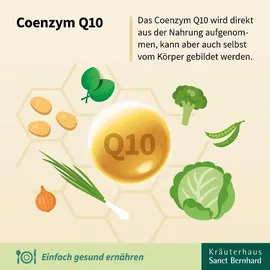 Kräuterhaus Sanct Bernhard Q10-Zellfit 100 mg Trinkfläschchen 30 St.