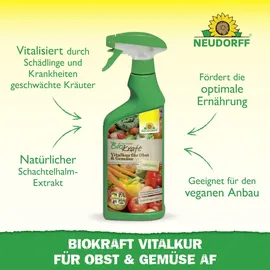 NEUDORFF BioKraft Vitalkur für Obst und Gemüse AF 500 ml