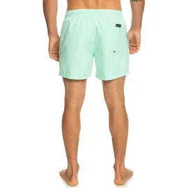 QUIKSILVER Everyday Volley 15" Badeshorts Beach Glass XS