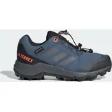 Adidas Terrex GORE-TEX Wonder Steel / Grey Three / Impact Orange 28 1/2