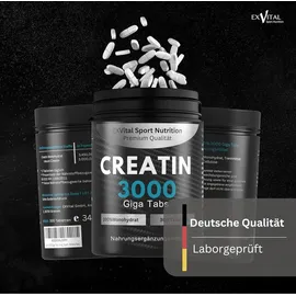 Exvital Creatin Monohydrat 3450 mg Tabletten 300 Stück