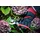 BGS Gartenschere 9111