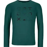 Ortovox 185 Merino Brand Outline Longsleeve Grün M