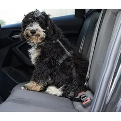 Tchibo - Hunde-Auto-Sicherheitsgurt - schwarz