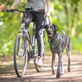 Wolters Active Pro Comfort Hundegeschirr Grün 40-47,5 cm