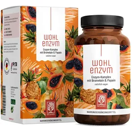 NATURTREU Wohlenzym Enzym Komplex Kapseln 120 St.