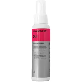 KochChemie Lufterfrischer Blossom Breeze 2 St. 100 ml