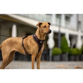 Curli Belka Hundehalsband Rot S