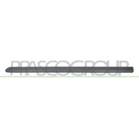 PRASCO Zier-/Schutzleiste, Tür vorne links-Lackiert