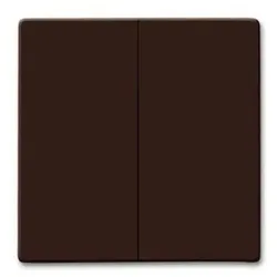 Taste 2t Schalter Allwetter 44 br glz