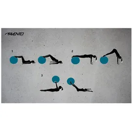 Avento Pink Gym Ball 75 cm