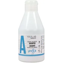 Shampoo Salerm Equilibrium 300 ml Ausgleichende