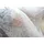 Home fashion Rawlins Vorhang Schlaufen 140x175 cm grau