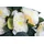 Botanic-Haus Rosenkranz (mit verschiedenfarbigen künstlichen Rosen) auf Drahtring (Creme-weiß-leicht-gelb)
