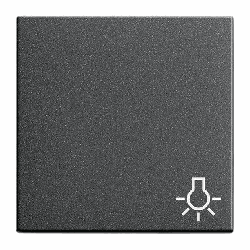 Gira Wippe mit Symbol Licht (anthrazit)